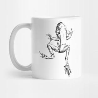 Frog Mug